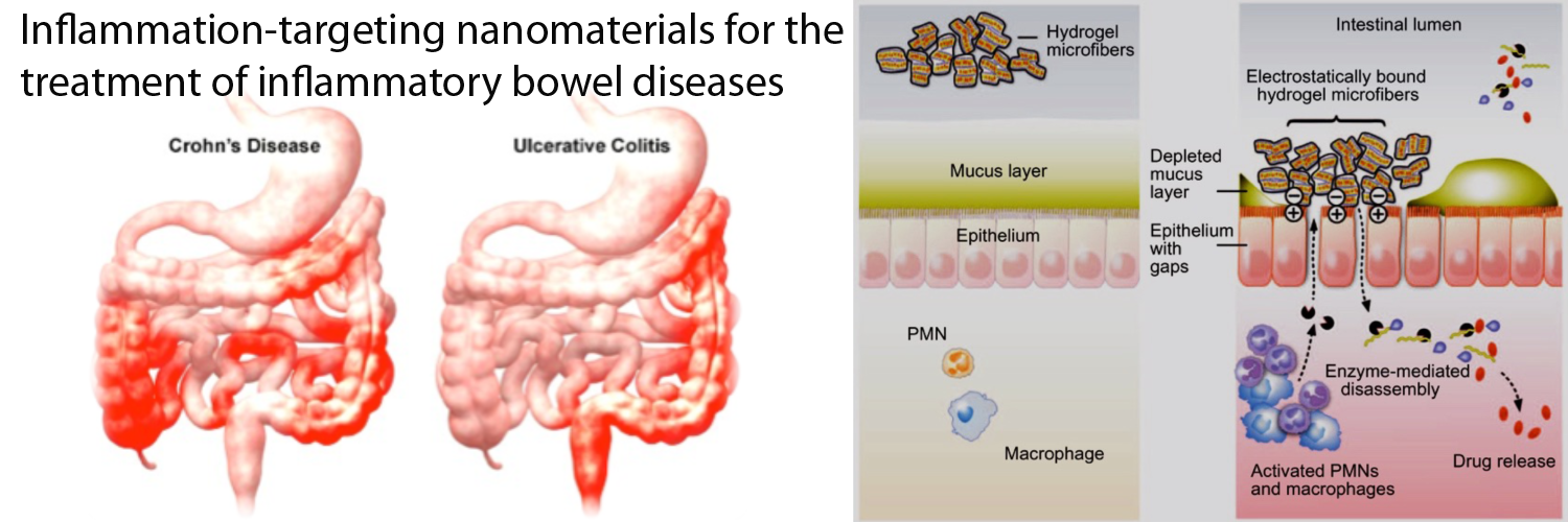 Inflammation-targeting nano materials